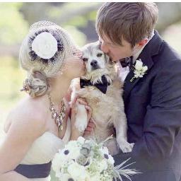 wedding dogs