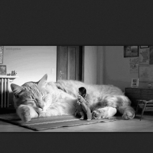 delicateNyoung's profile picture. wudddup I got a big cock? tacos&kittens, how you doin? MWUAHMWUAH