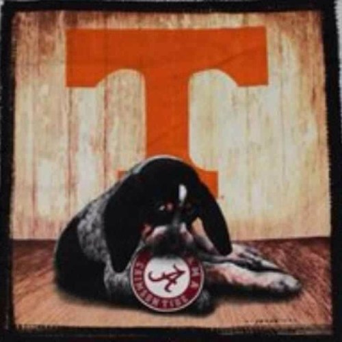 titanup0085's profile picture. 