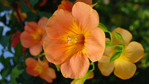 SunTzu201109's profile picture. 