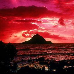 DansGrl01's profile picture. 