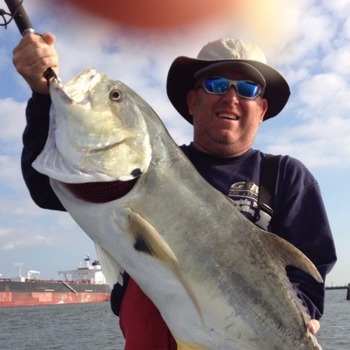 farris_kelley's profile picture. 