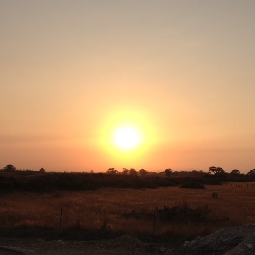 Kadeksunrise's profile picture. 