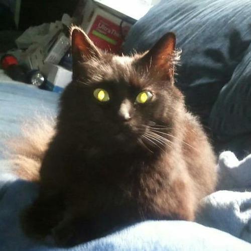 virginiagirl314's profile picture. 