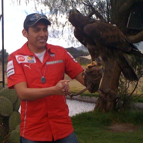 jluisshp's profile picture. 