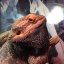 Jennifer Vice - @fancyface4001 - Twitter