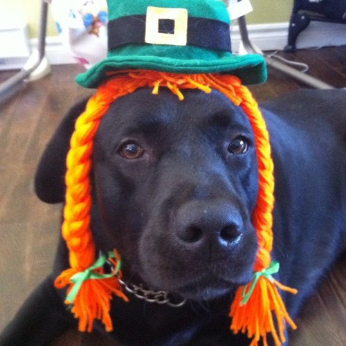 alicia789's profile picture. 