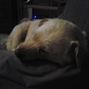 steven brush - @stevenbrush717 - Twitter