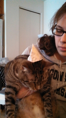 TreenaN's profile picture. Great mariners are not made by calm seas.