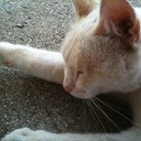 Steve - @steve_lor - Twitter