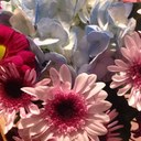 Ida Carpenter - @KickboxDancer - Twitter