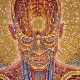 god. owner of my own private universe, albeit trapped inside the confines of my skull,