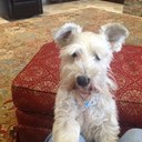 Kim Fair - @KimmiFair - Twitter