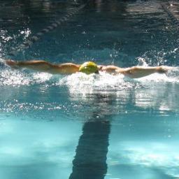 swimbecause's profile picture. this account is about competitive swimming. reasons to be a swimmer, reasons to date one and swimmer problems if you swim follow and enjoy :)