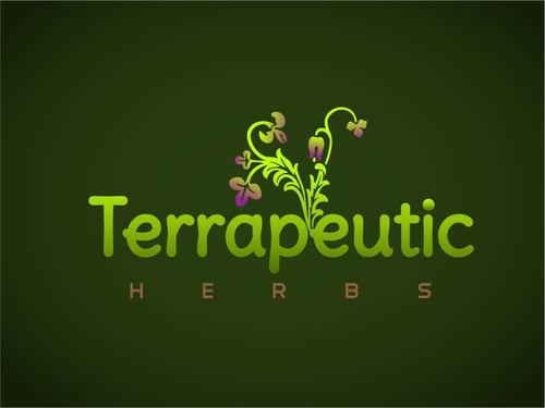 Terrapeutic is a welcoming environment where you can find natural products that provide better heath and lifestyle.