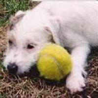 CheapHilda's profile picture. Learn and earn all about crypto currencies.  Finding the Airdops, giveaways, freebees and other such deals as they come up.