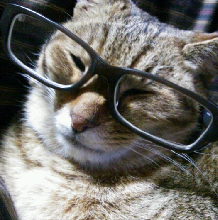 おじさんエンジニアリング