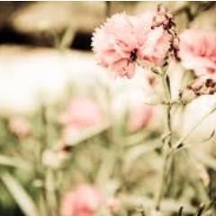 Hearts That Beat... Tweeting life as it comes & goes. #Poetic #Artistic #Naturalistic ... Enjoys Nature .. Hand Crafted By God Himself  
#TeamTaken by Jesus :)