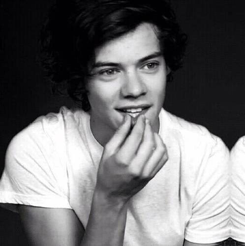 Shirtlesswith1D's profile picture. living the dre(0/5)am~ got a Savan follow though lln!1! follow if you love animal crackers holla