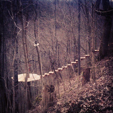 Lexington's world-class canopy tour giving kick-ass Kentuckians a new perspective on our unique geology,history,and natural resources...and having fun doing it!
