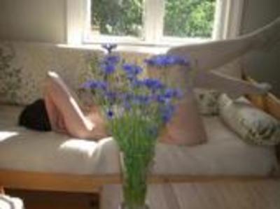 nikhildrake945's profile picture. 