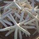 Treva Taylor - @Treva43 - Twitter