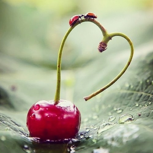 RimaAbdulAziz1's profile picture. 