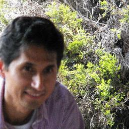 Ingeniero, orgullosamente veracruzano, radicando en la Perla de Occidente