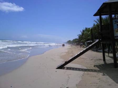 ViajeraMLG's profile picture. 