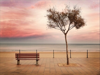 Alwinrios's profile picture. 