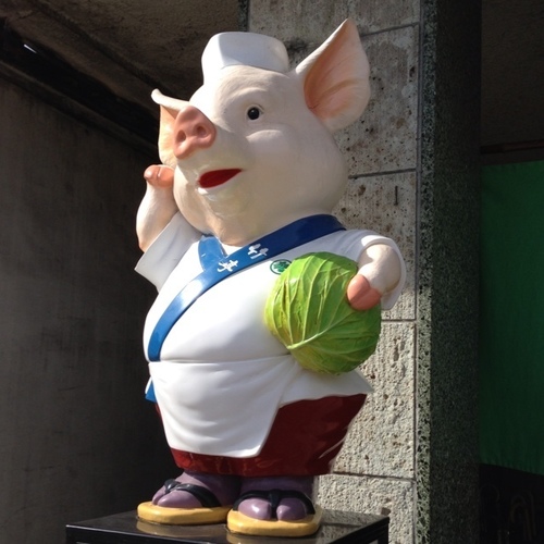 明日から多分本気出す。旅行好き。神経難病 #CIDP 寛解は諦めた。
