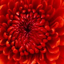 DImplementers's profile picture. Dream Implementers = three consultants,vociferous arguments, cigarette smoke, brilliant discussion sessions (we are VERY modest) implementing your dreams.