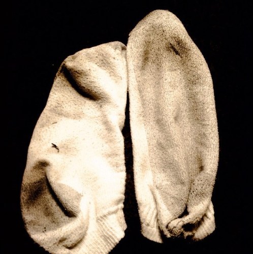 sock_tales's profile picture. 