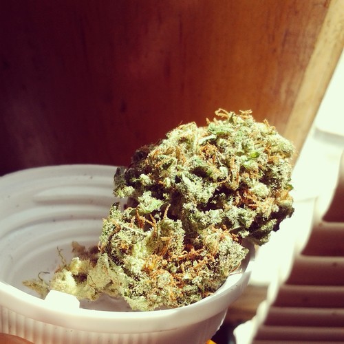 strivin for tha best. smokin to relieve my stress #StonerNation #Teamfollowback