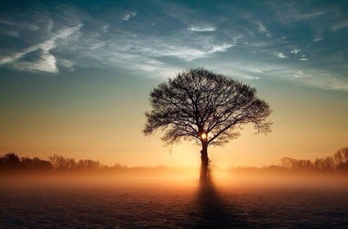 jideidowu's profile picture. 