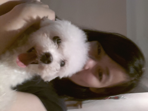 ongzijie's profile picture. 