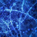 Aileen Jane Herrera - @AileenJaneHerre - Twitter