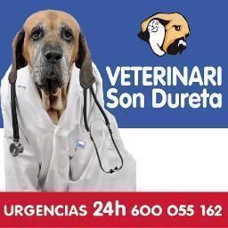 SonDuretaVet's profile picture. Clínica Veterinaria con servicio de urgéncias 24H - Premio Eureka 2008 - 
Horario de Cita previa de Lunes a Vienes de 10:00 a 20:00 Sábados de 10:00 a 14:00