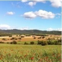 Comarca del Valle de Ayora Cofrentes, tuits sobre naturaleza, su defensa, deporte y gente de los pueblos de la comarca y alrededores