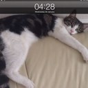 norman  barrow - @BarrowNorman - Twitter