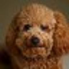 innocentmathews's profile picture. Taking time to say Thank You Lord for your mercies will never ever cost me anything in life but will add value in my life.