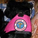 Denene Harper - @Denene1964 - Twitter