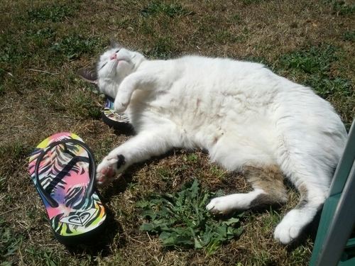 obrienrebecc's profile picture. Occupational Therapist. Occupations: Crochet, wife, travel, work, bike riding.