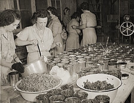 Shoestringmanor's profile picture. I'm a wife and mom, I can do everything, just not all at once.
#preparedness,#cooking,#crochet,#castIron,#sewing,#gardening,#dutchoven