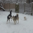 sam Leighton - @samLeighton2 - Twitter