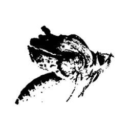 dothemutation's profile picture. generative design lab