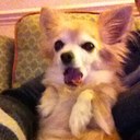 Elisa Pearce - @ERPearce - Twitter