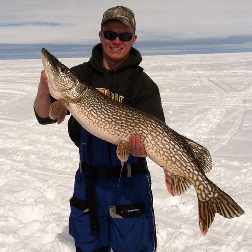 todd_joey's profile picture. 