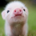 mia lucas - @mianicolelucas - Twitter