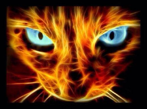 ImAwesomes's profile picture. Im 11 and i play drums and im a big fan of minecraft XBOX360